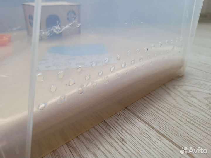 Контейнер террариум для улиток