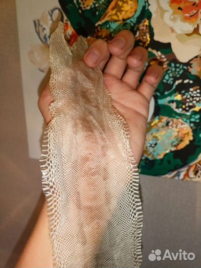 Линька,кожа