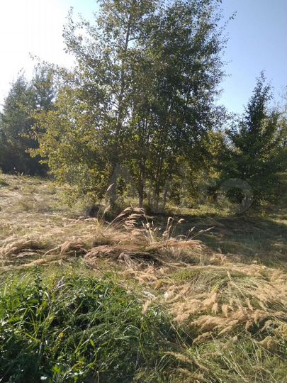 Участок 10 сот. (СНТ, ДНП)