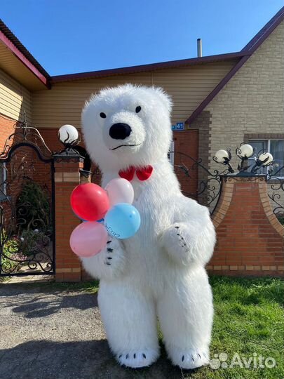 Поздравление от белого бурого мишки и чебурашки