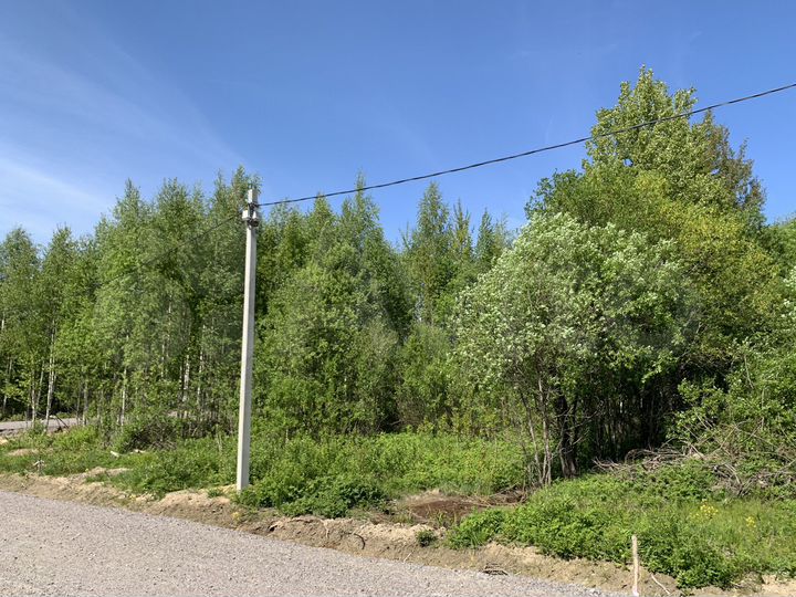 Участок 9,8 сот. (СНТ, ДНП)