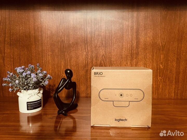 Logitech brio 4k (резерв)