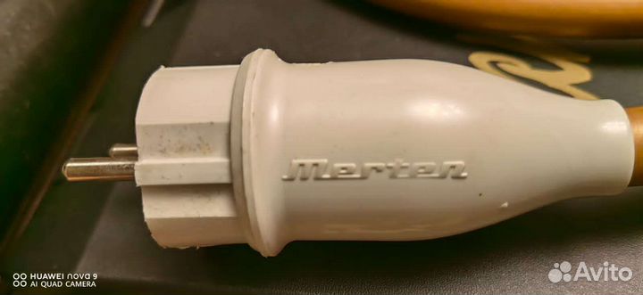 Van Den Hul M.C. The Mainstream Hybrid