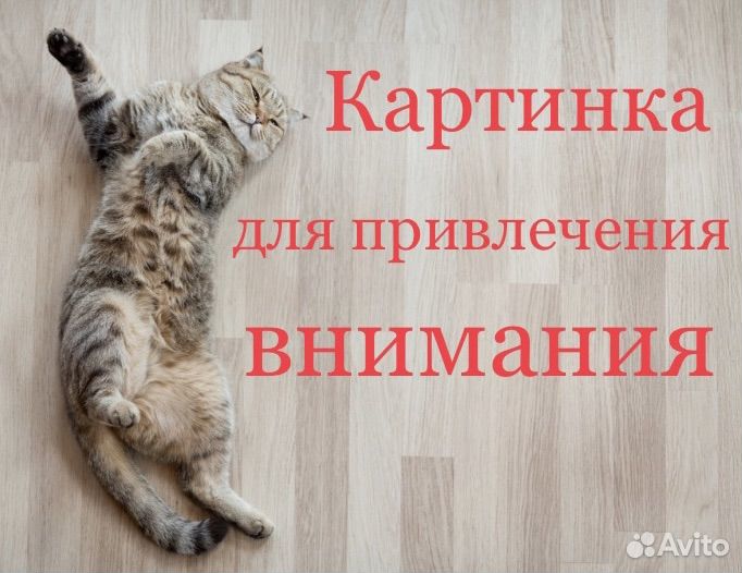 Репетитор по математике и физике 1-7 класс