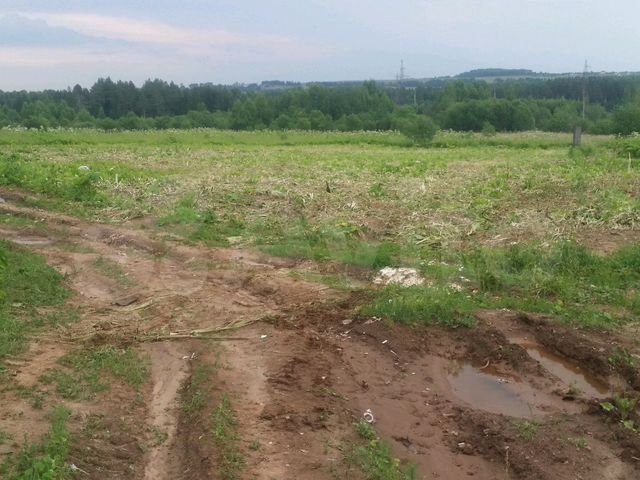 Земля в кирове. Деревня Прошино Кирово-Чепецкого района. Авито деревня Прошино.