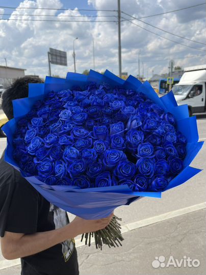 Синие розы