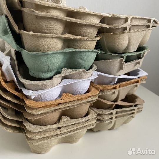 Ячейки для яиц