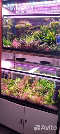 Аквариум новый