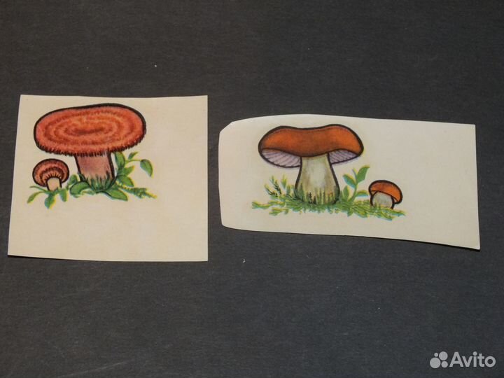 Переводные картинки