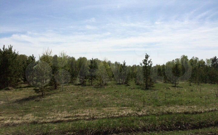 Участок 10 сот. (СНТ, ДНП)