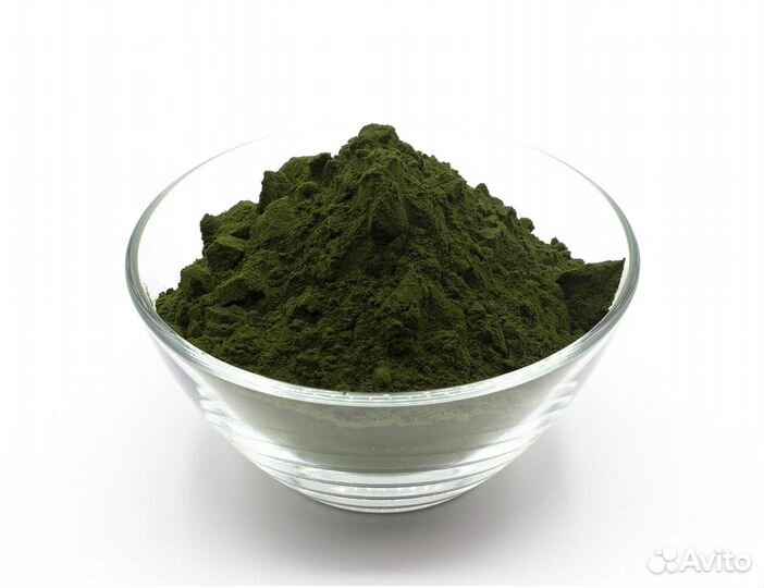 Хлорелла порошок микроводоросль, опт и розн