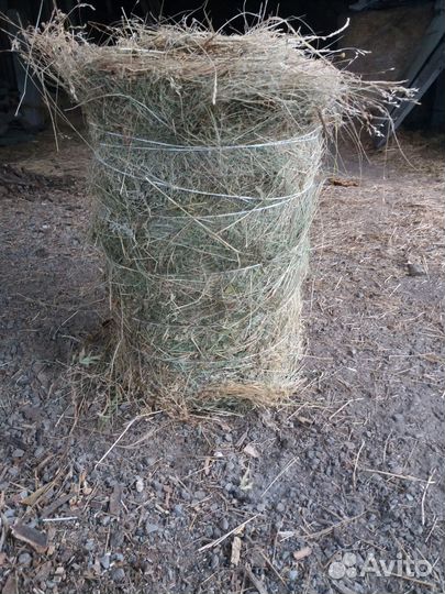 Сено в тюках