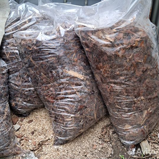 Кора сосны мульча