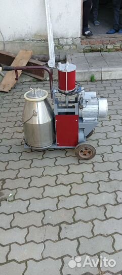 Доильный аппарат для коров