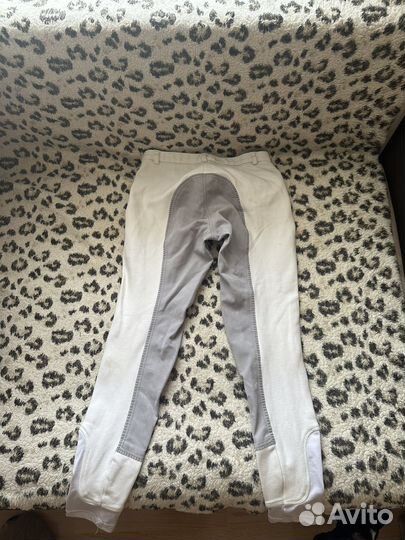 Конная амуниция бу