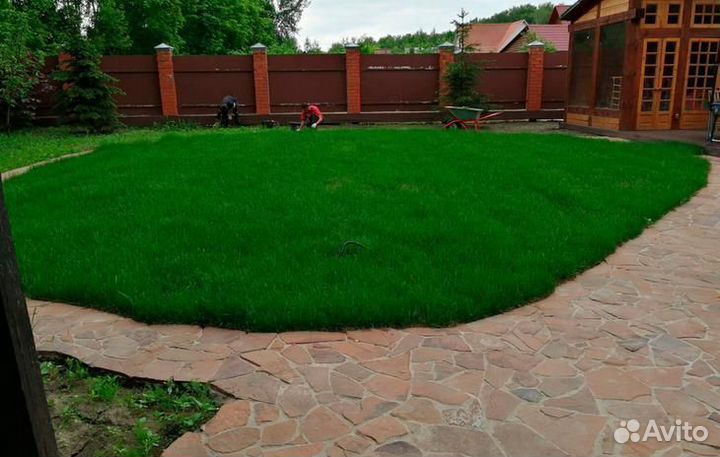 Рулонный газон под ключ