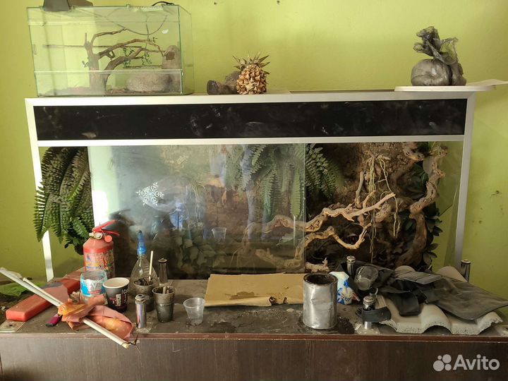 Террариум для рептилий