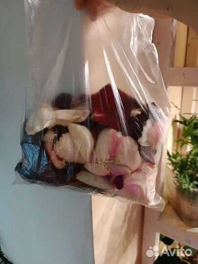 Лепестки Роз, микс