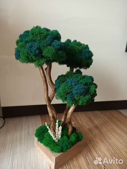 Декоративные деревья