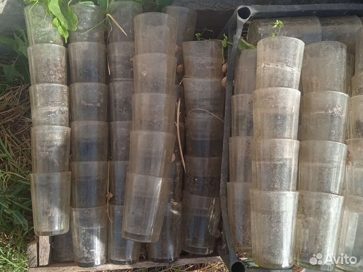 Банки стаканы гранненые