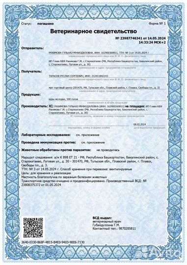 Яйца куриные домашние