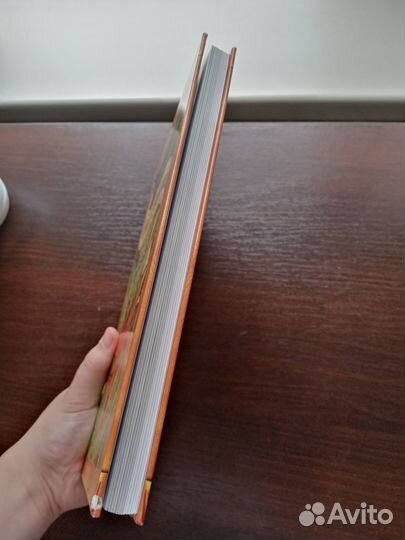 Книга путеводитель 