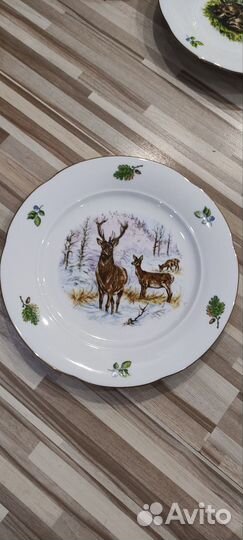 Тарелки ГДР, новые