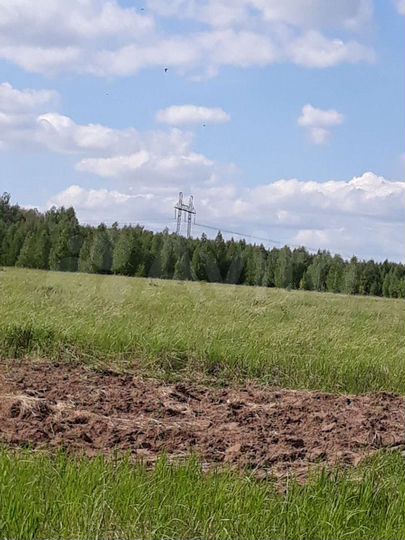 Участок 1,25 га (СНТ, ДНП)