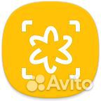 Перегной конский навоз