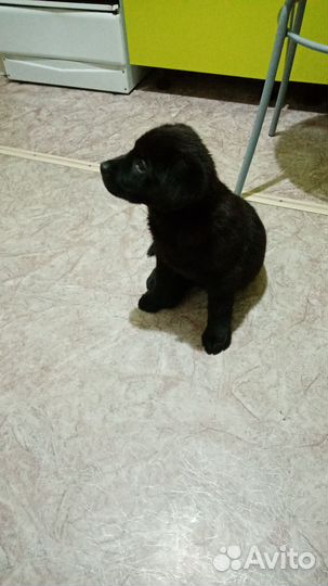 Маленькая девочка