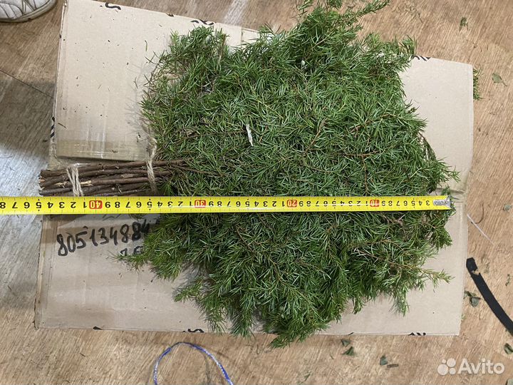 Можевеловый веник для бани,свежий