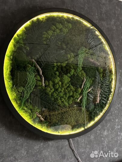 Панно на стену из мха