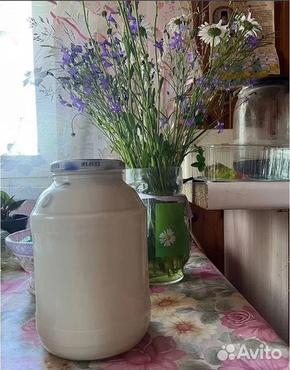 Коровье и козье молоко