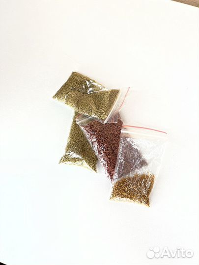 Аквариум 5л комплект с кормом и декорациями