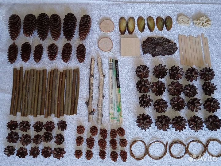 Набор Шишек для поделок и флористики