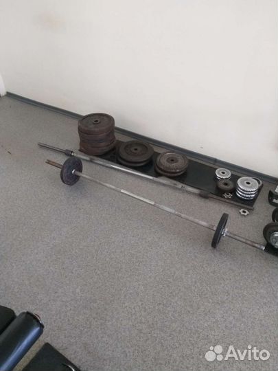 Штанги гантели