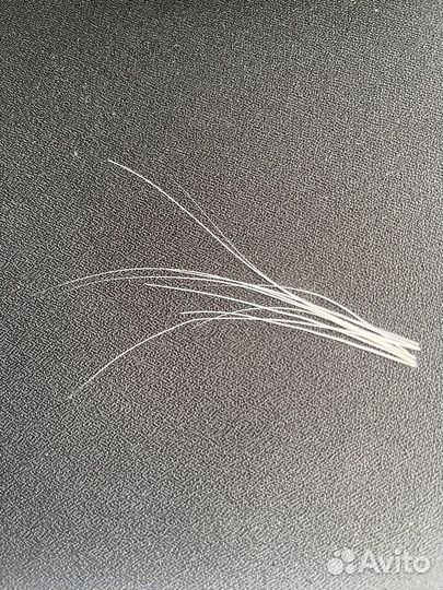 Кошачьи усы от Сибирской кошки