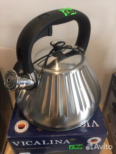 Чайник из нержавеющей стали vicalina