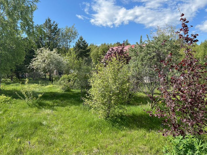 Участок 10 сот. (ИЖС)