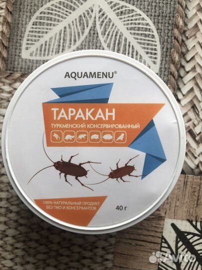 Туркменский таракан консервированный