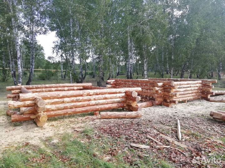 Сруб 6 на 6 метров. Дикая рубка в обратную чашу