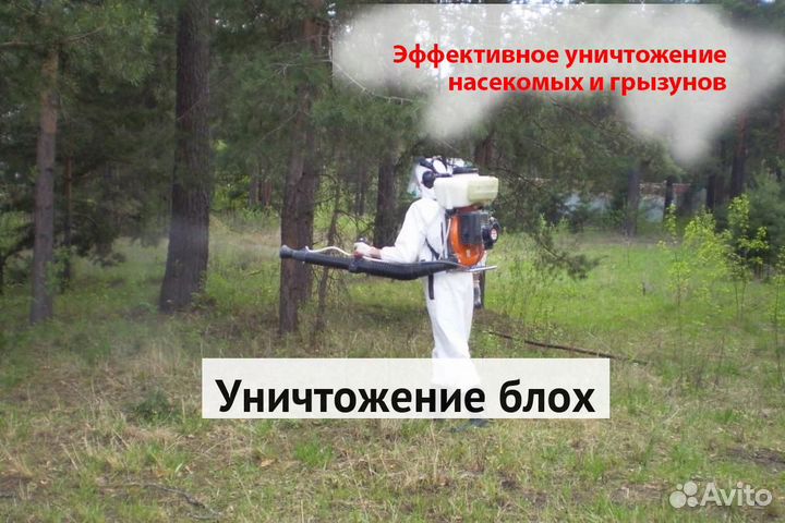 Уничтожение клопов тараканов грызунов плесени