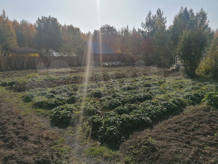 Участок 8 сот. (СНТ, ДНП)
