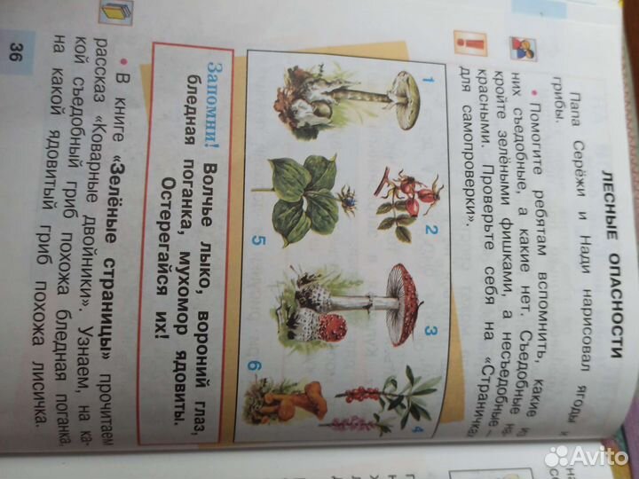 Учебники для 2-3 класса,Окружающий мир Плешаков