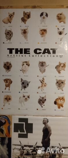 Новые плакаты-постеры(90*60см)