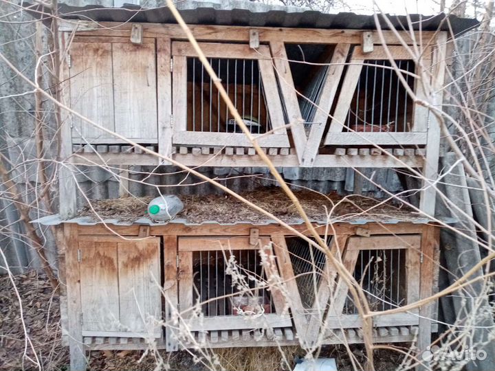 Клетка для кролика