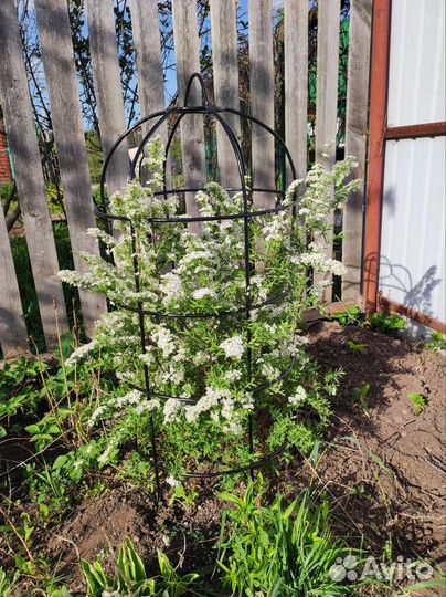 Опора для вьющихся растений