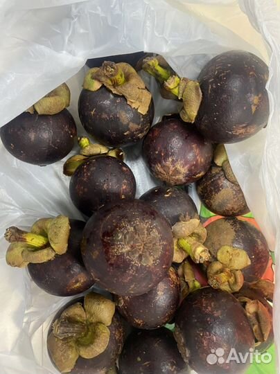 Мангустины Колумбия