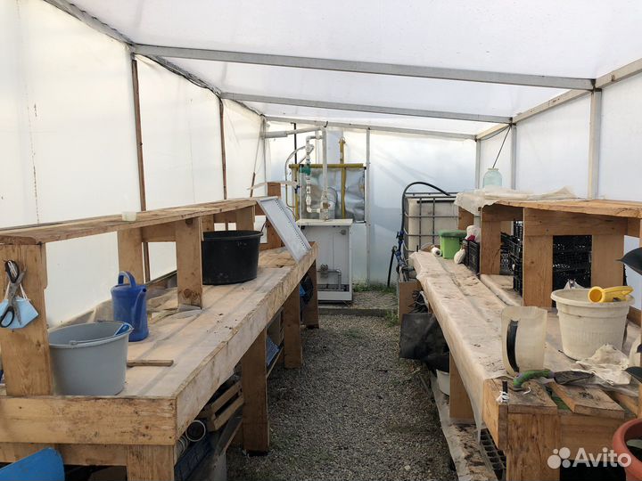 Теплица 160 м2