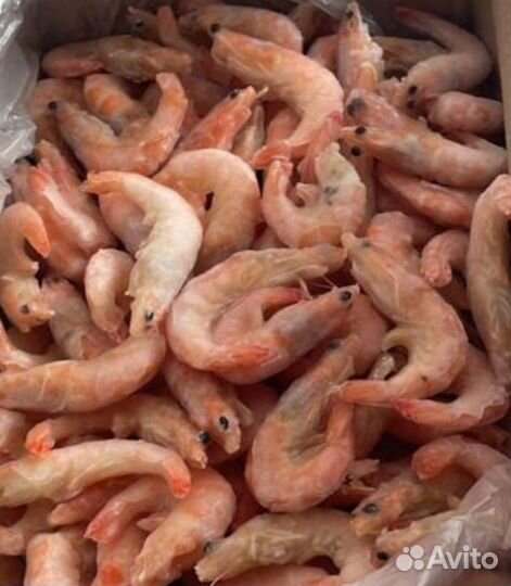Креветки 50/70